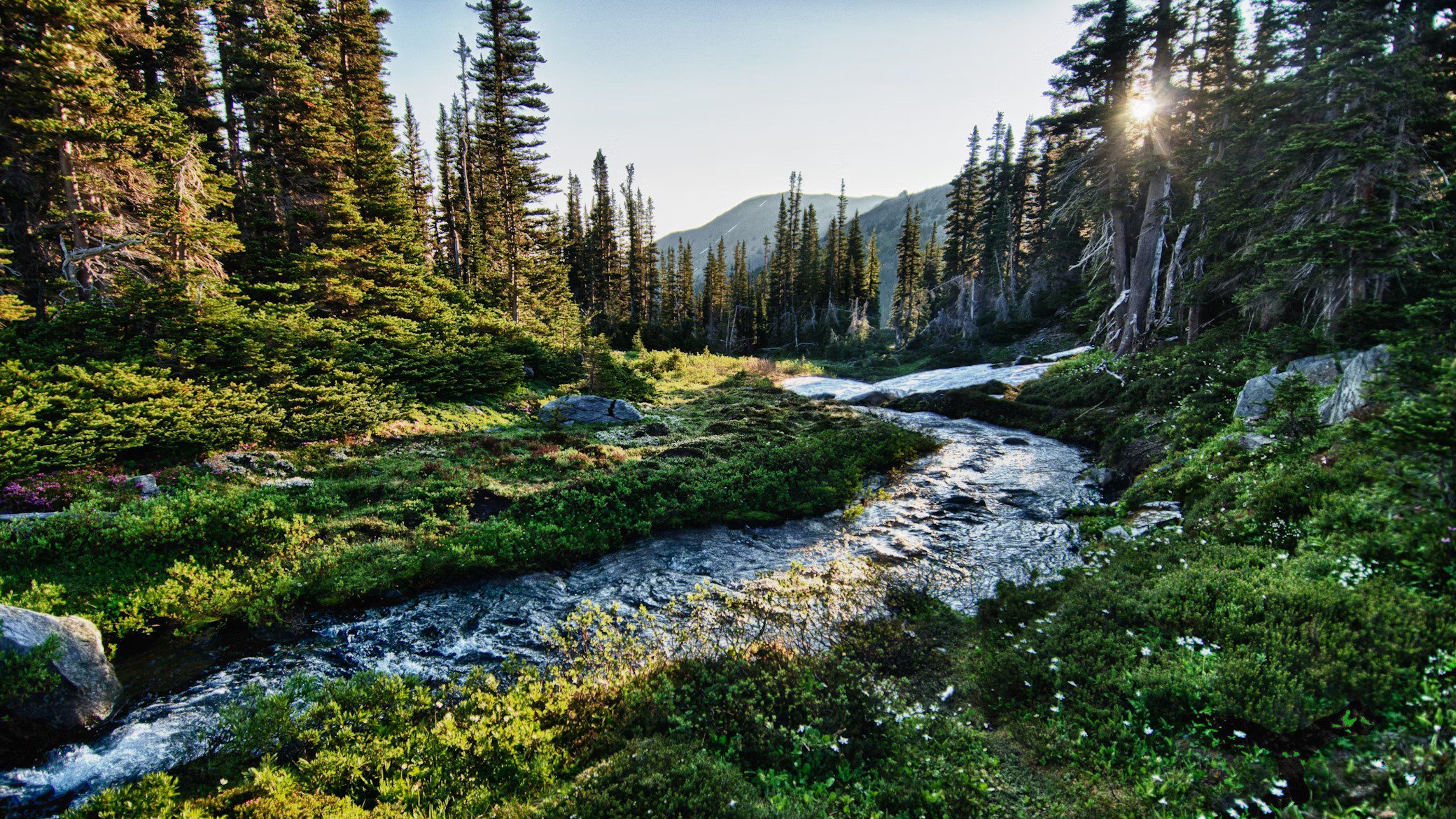 Olympic National Park | USA