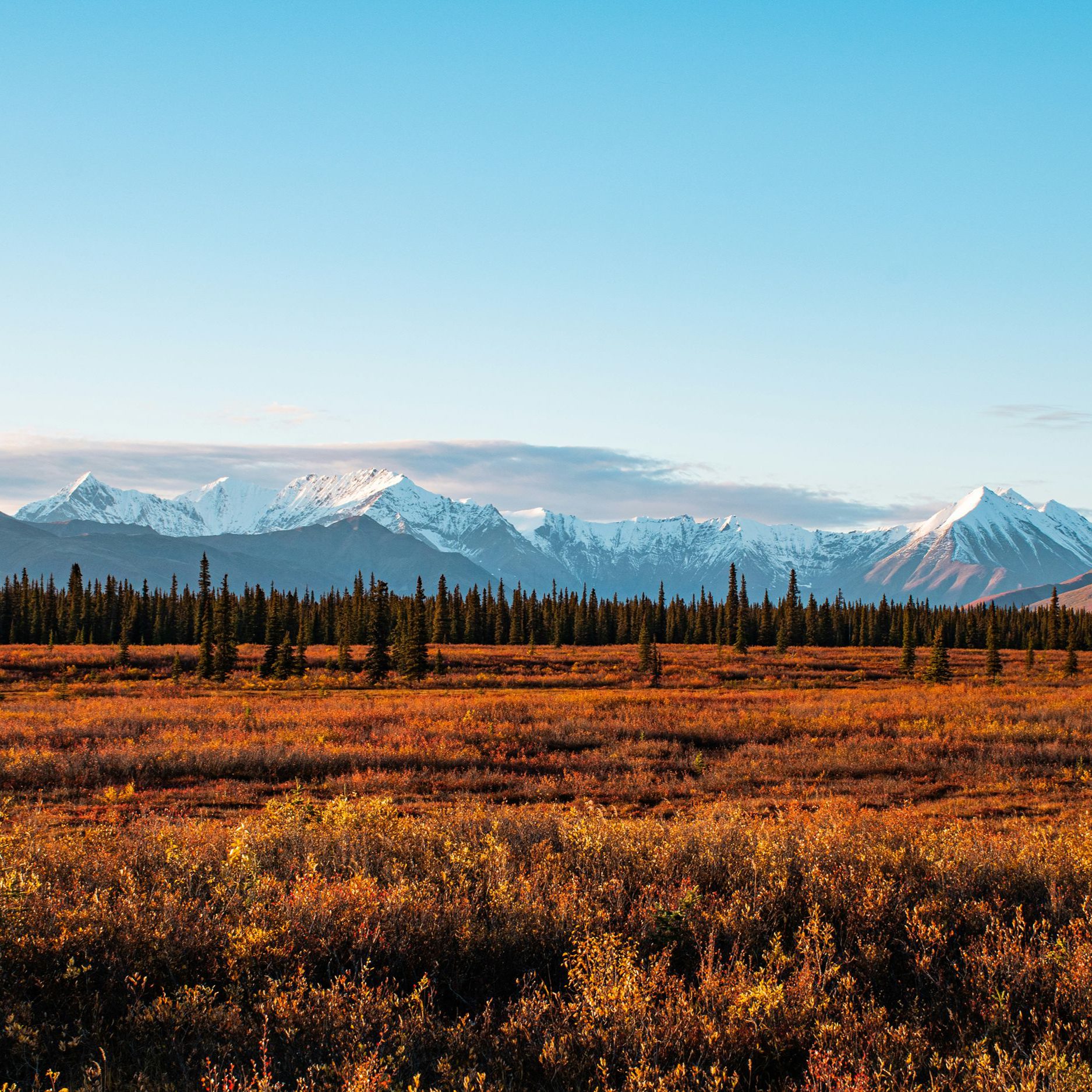 rondreis-amerika-alaska-denali-national-park