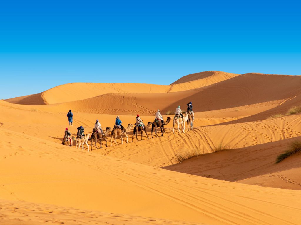 Rondreis Marokko, Erg Chebbi, groep mensen op kamelen