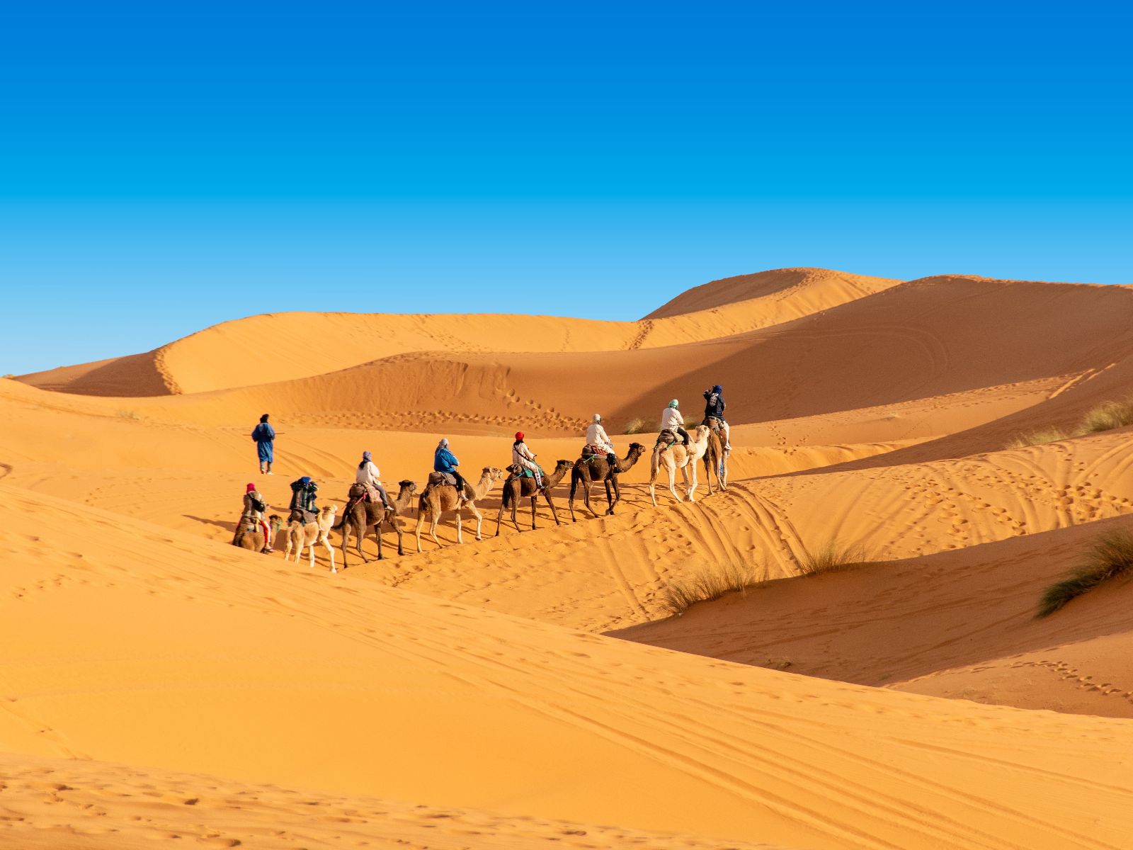 Rondreis Marokko, Erg Chebbi, groep mensen op kamelen