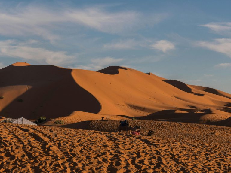 Hoogtepunten | WRC Reizen