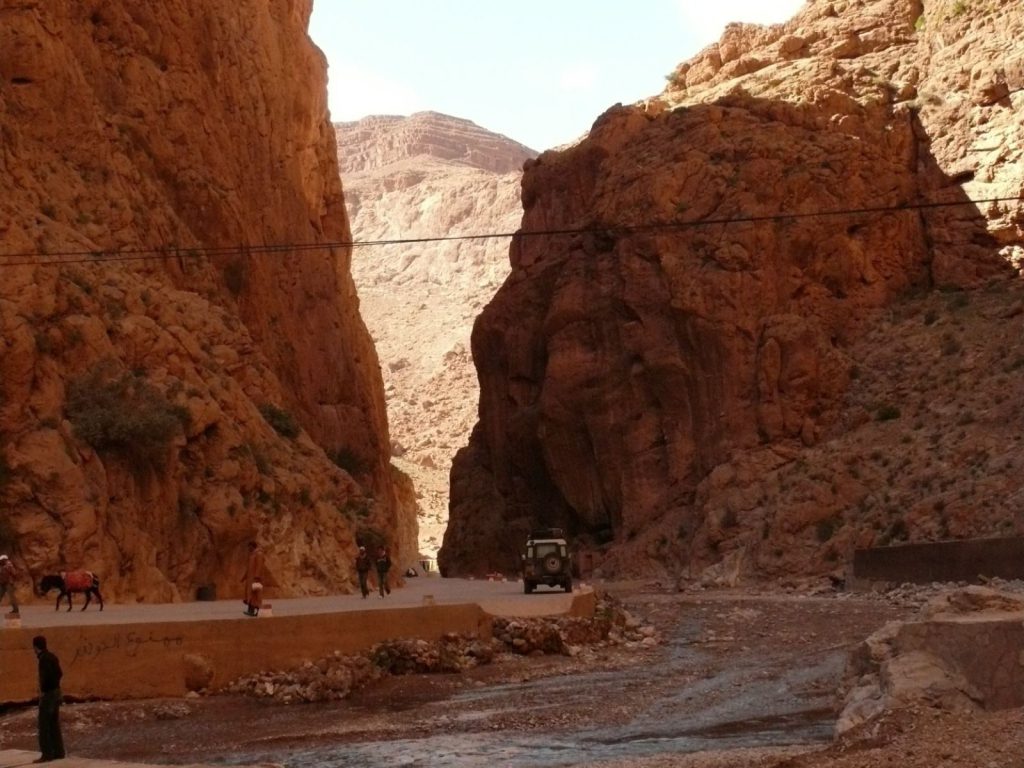 Hoogtepunten | WRC Reizen