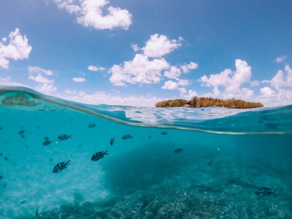 Rondreis Mauritius, Blue Bay, Excursie Ile des Deux Cocos, half onder water