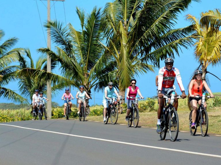 Excursies | WRC Reizen