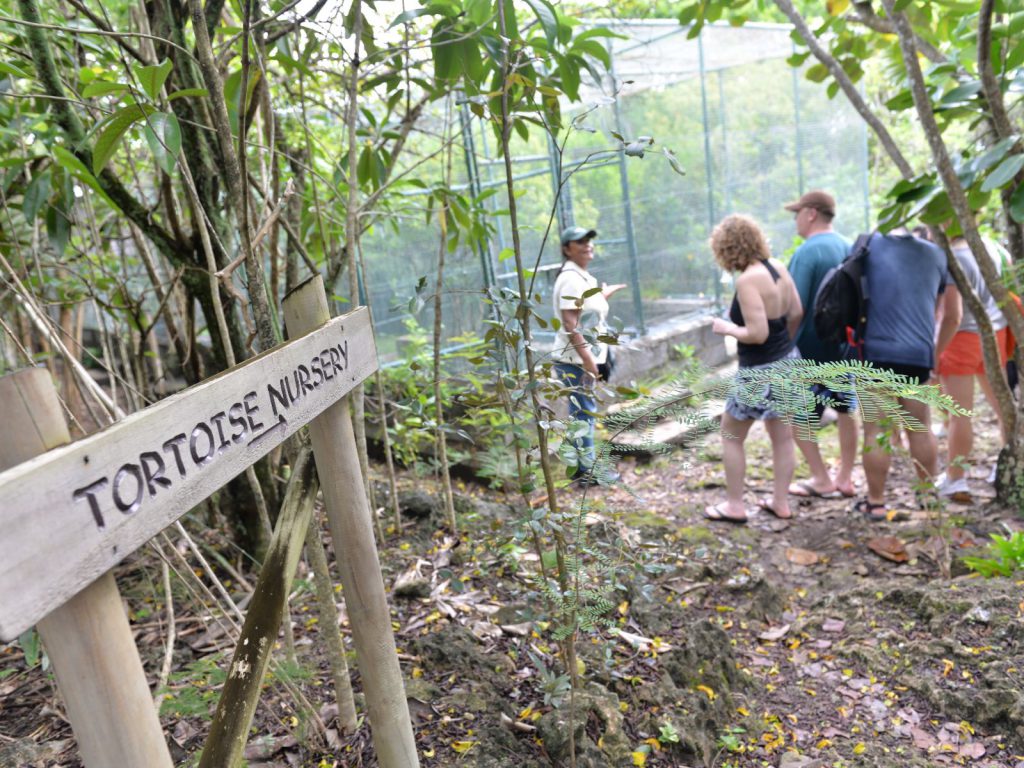 Excursies | WRC Reizen