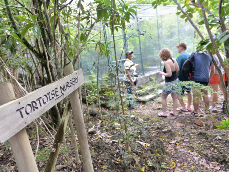 Excursies | WRC Reizen
