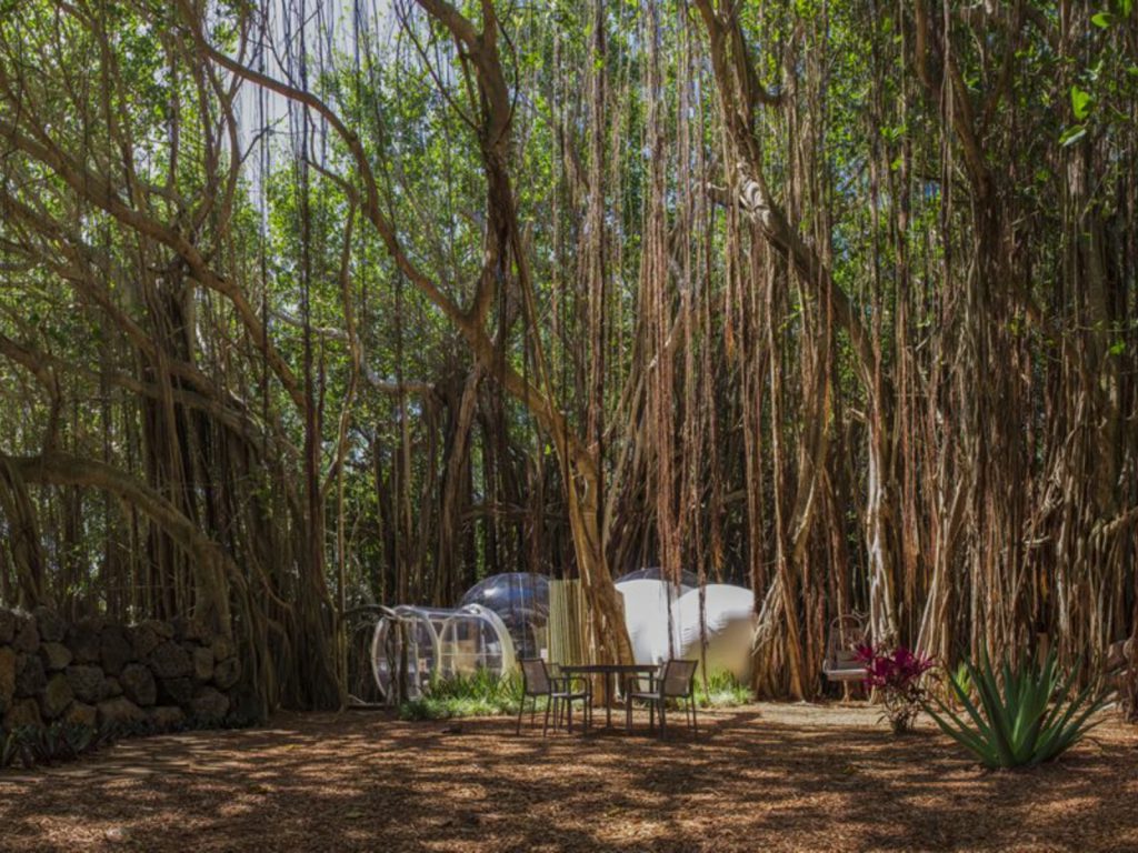 Rondreis Mauritius, Ile aux Cerfs, Bubble Lodge, Bubble Lodge middenin de bossen