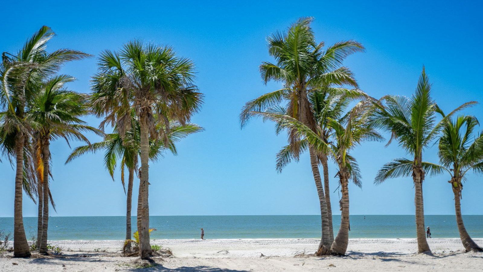 Rondreis Amerika, Naples, Strand met palmbomen