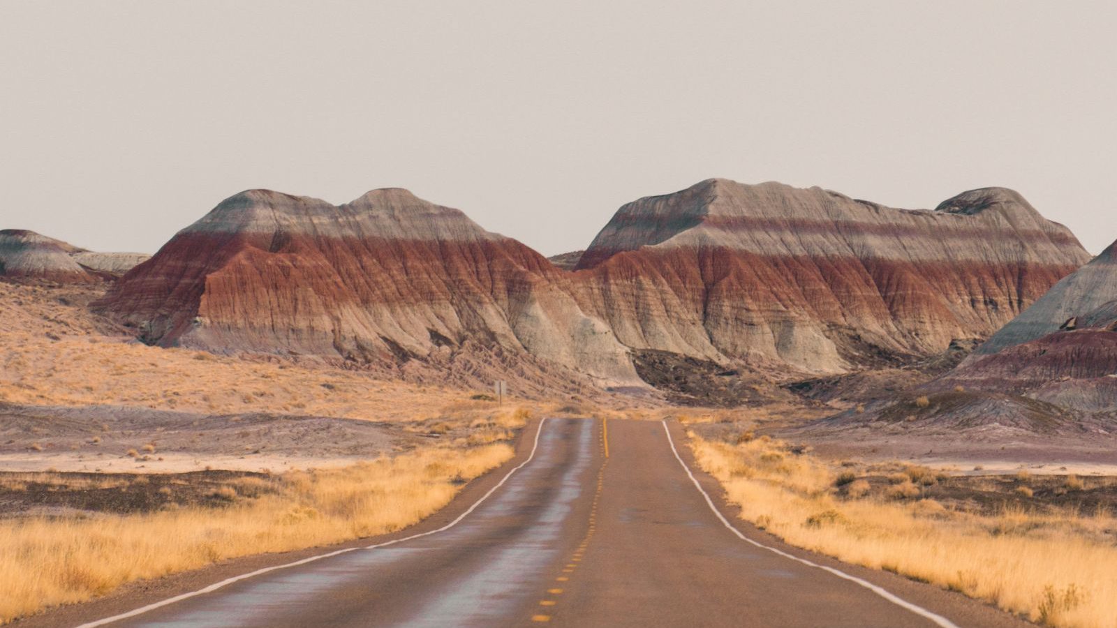 Rondreis Amerika, Petrified Forest National Park, Asfaltweg Met Bergen Op De Achtergrond
