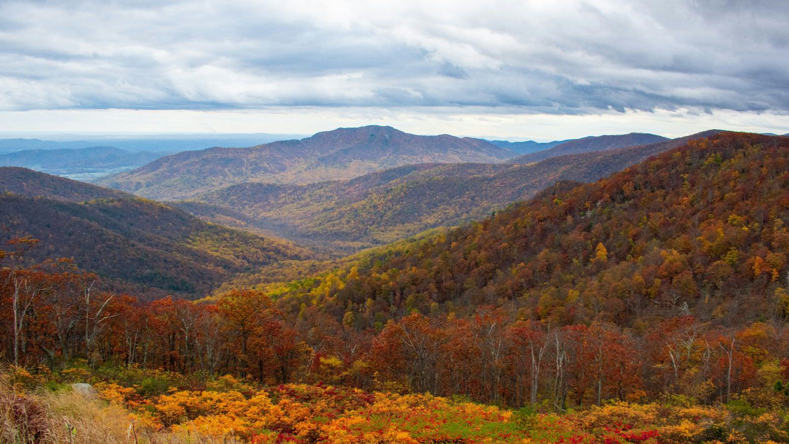 Rondreis Amerika, Shenandoah, National Park, Indian Summer