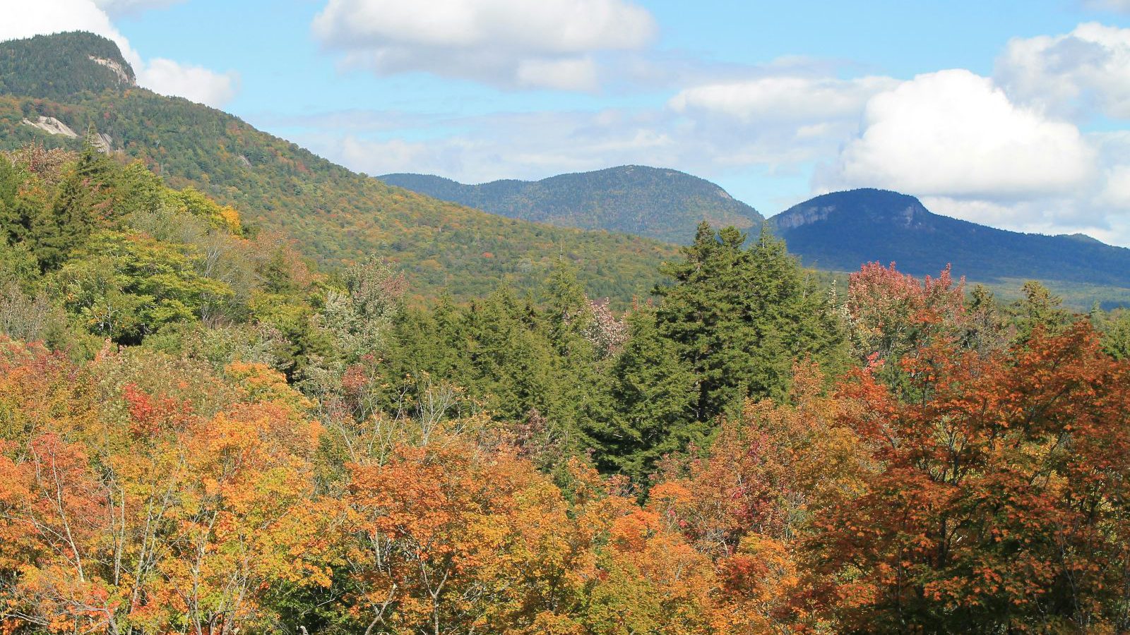 Rondreis Amerika, White Mountains, Groene vallei