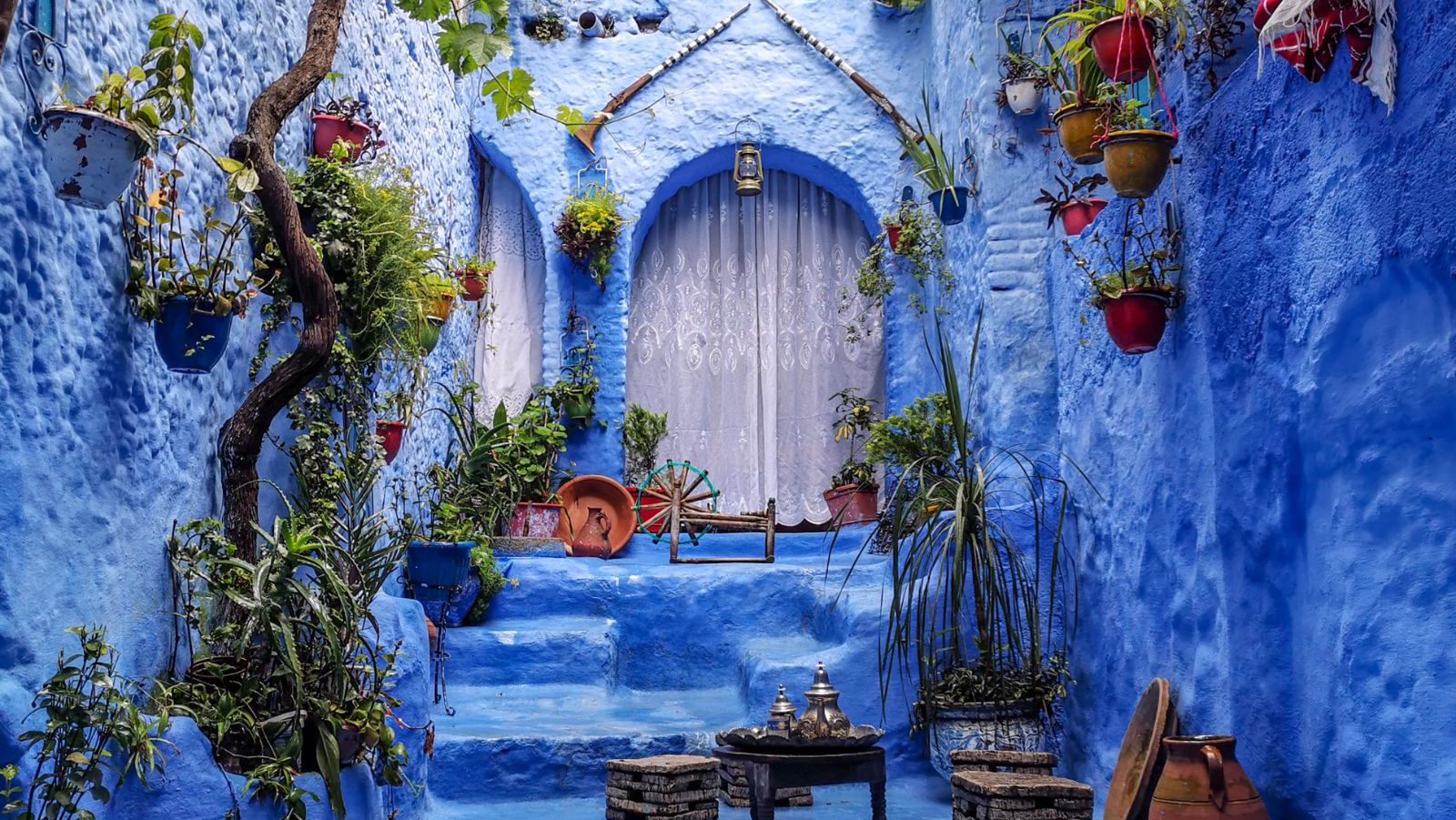 Rondreis-Marokko-Chefchaouen-blauwe-deur-met-planten