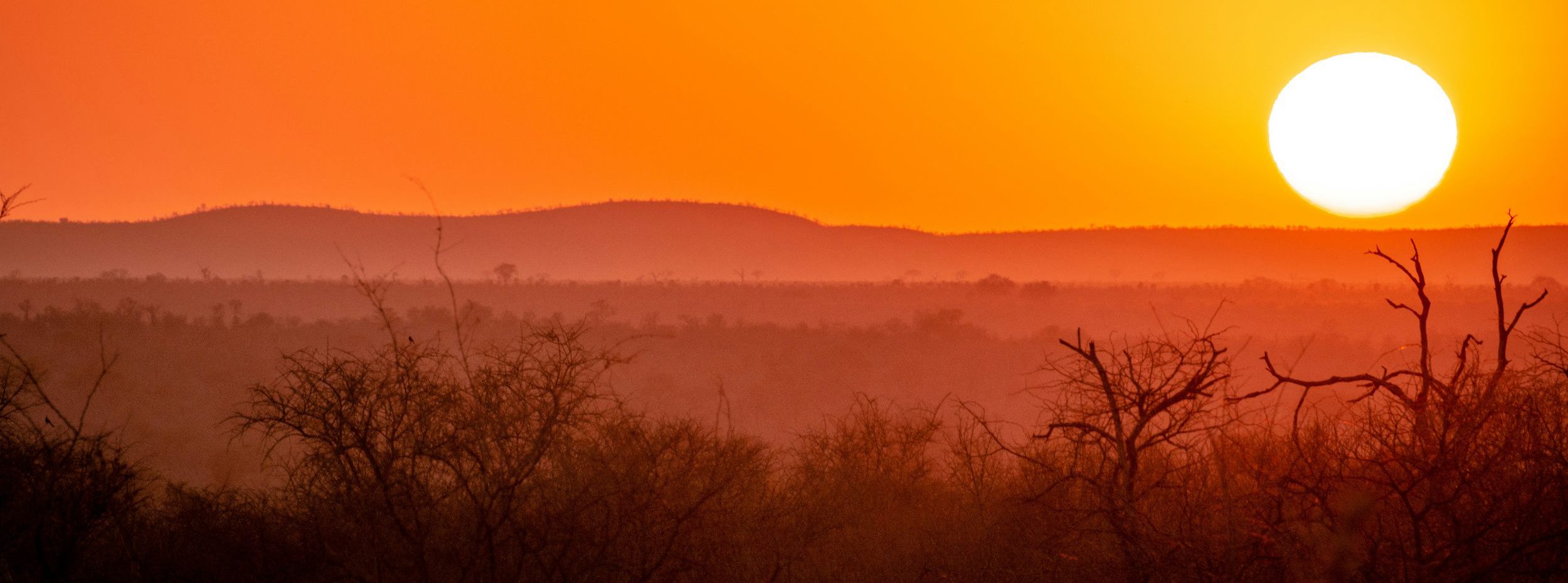 Rondreis Zuid-Afrika, Kruger Nationaal park, zonsondergang over de bush