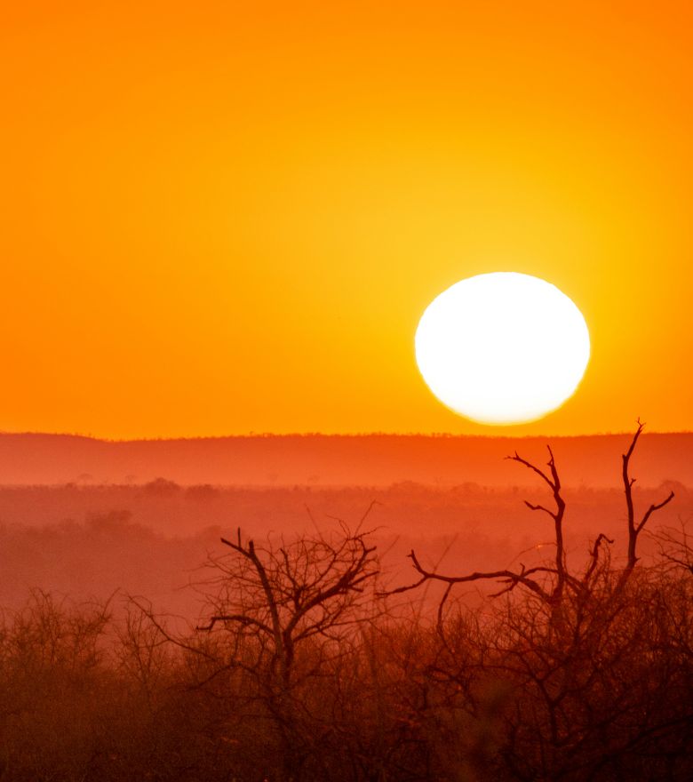 Rondreis Zuid-Afrika, Kruger Nationaal park, zonsondergang over de bush met boom