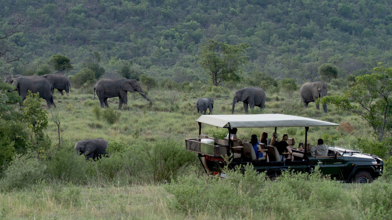 Rondreis Zuid-Afrika, Welgevonden Game Reserve, Inzalo Safari Lodge, game drive