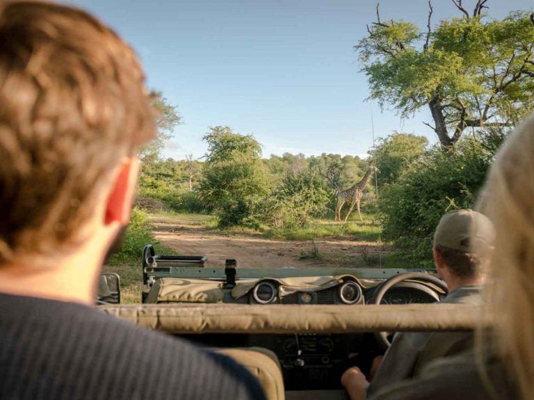 Hoogtepunten | WRC Reizen