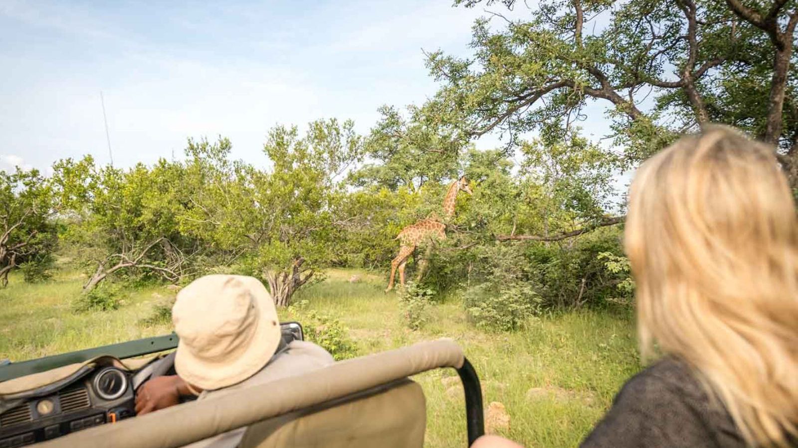 Rondreis Zuid Afrika, Wild River Nature Reserve, Giraffe tijdens safari