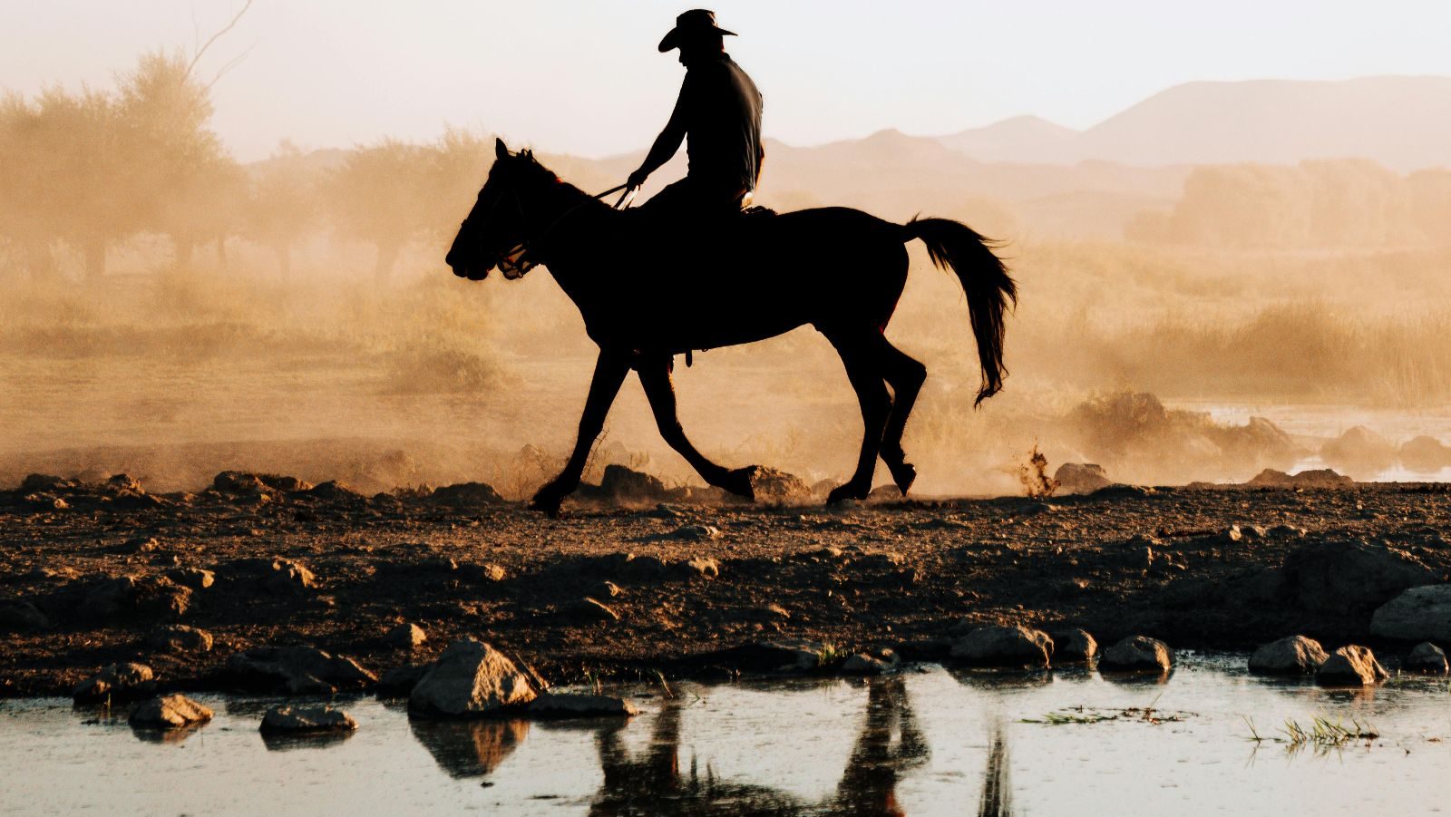 Rondreis Amerika, Bandera, Cowboy Spiegeling In Water