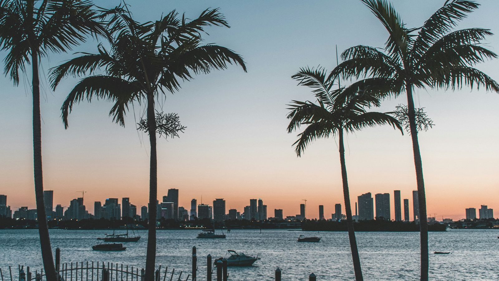 Rondreis Amerika, Florida, Miami Beach, palmbomen en skyline van Miami