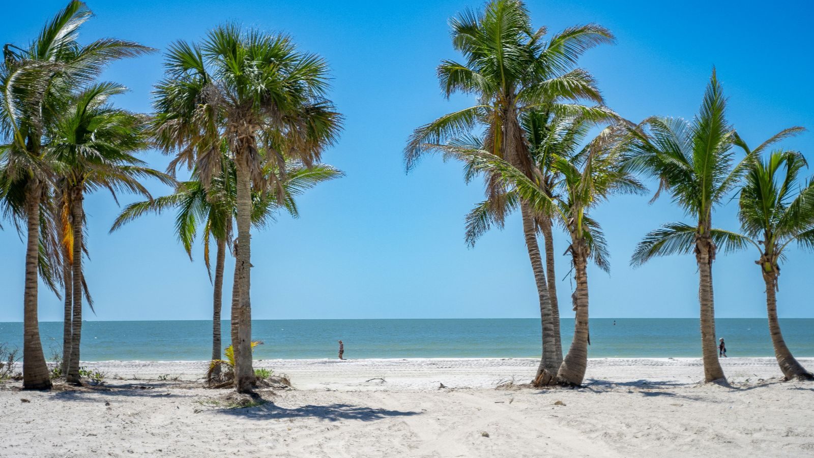 Rondreis Amerika, Naples, Strand met palmbomen