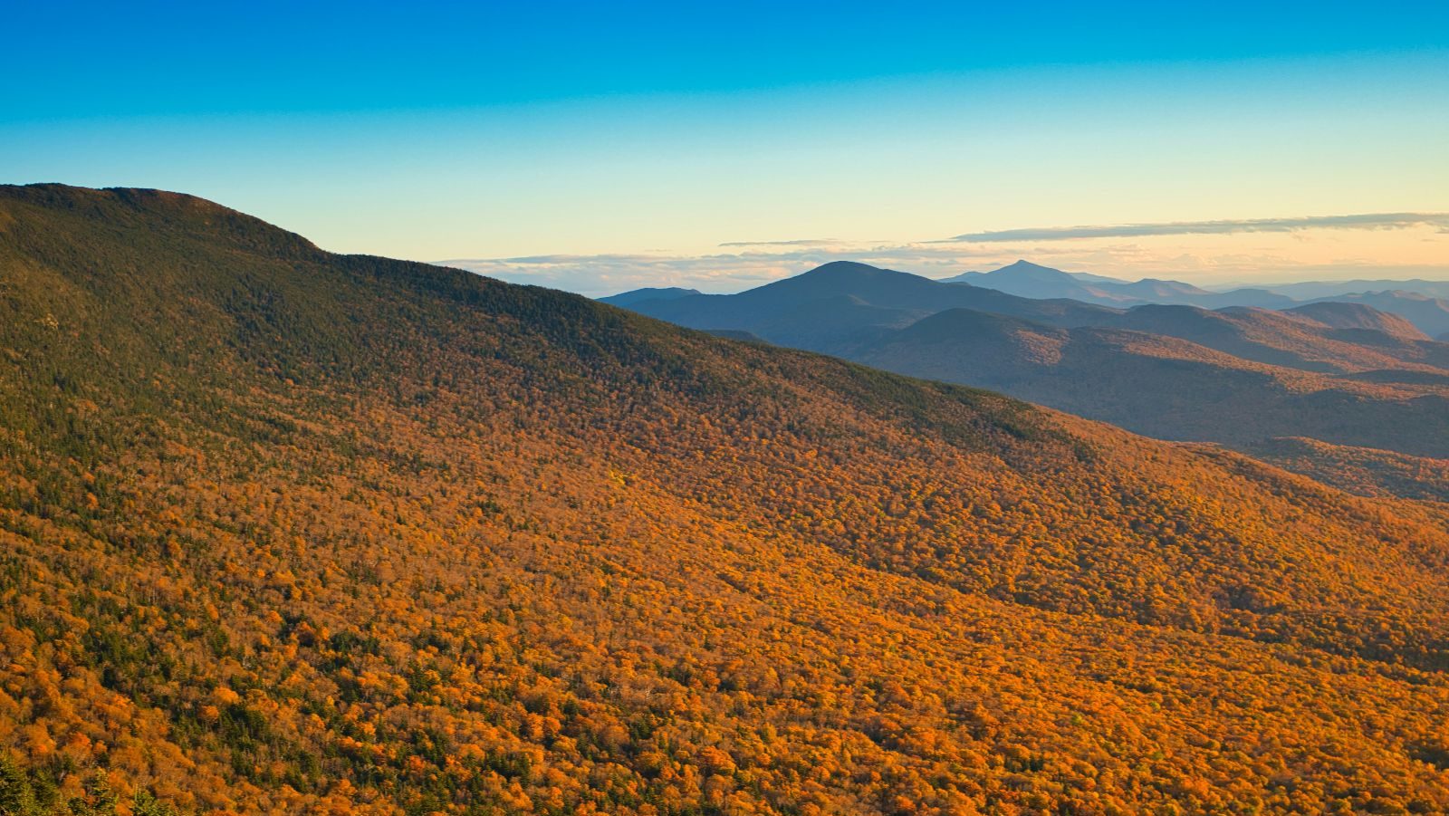 Rondreis Amerika, Stowe, Berg met herstbomen