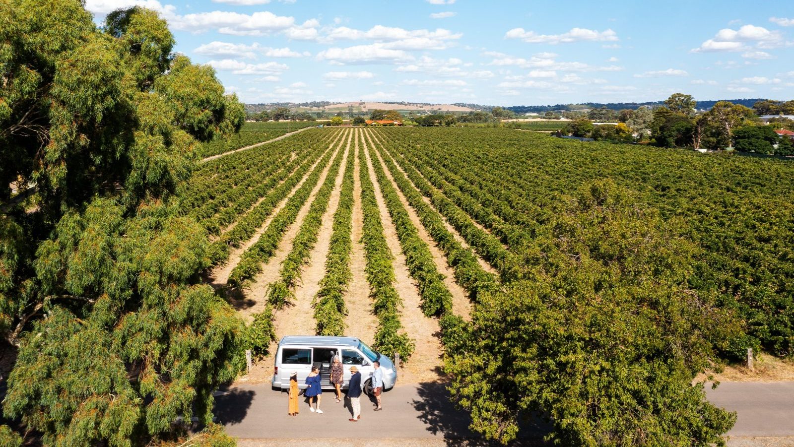 Rondreis Australië, Adelaide, Excursie Barossa Wijn & Culinaire Tour, wijngaarden in Barossa, Tourism Australia Asset Hub