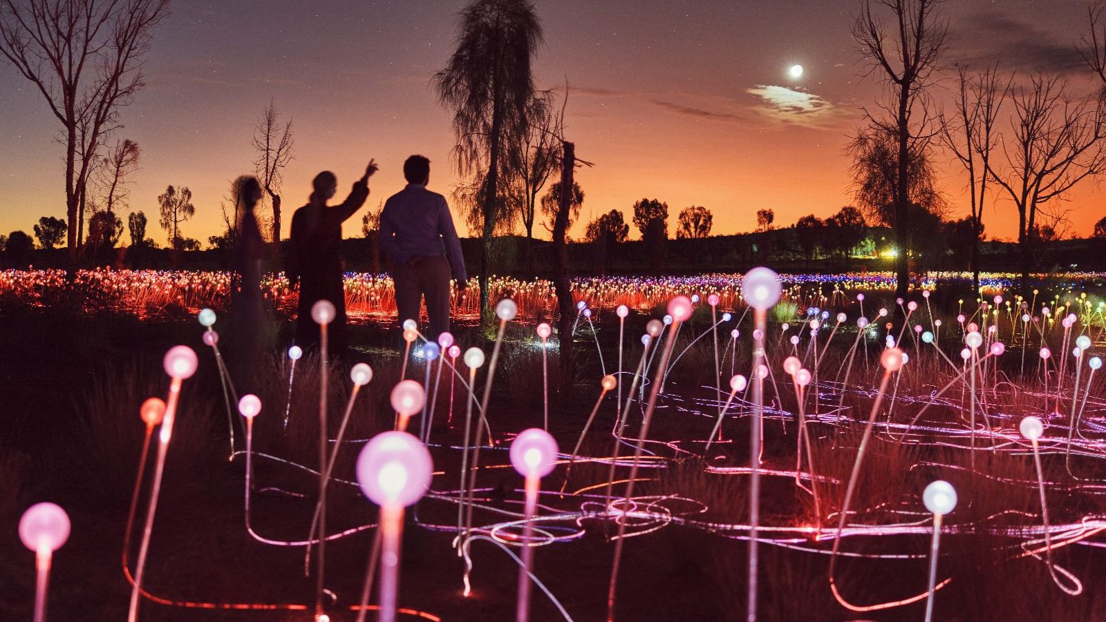 Rondreis Australië, Ayers Rock, Excursie Field of Light Pass, Mensen die door het lichtveld lopen, Tourism Australia Asset Hub