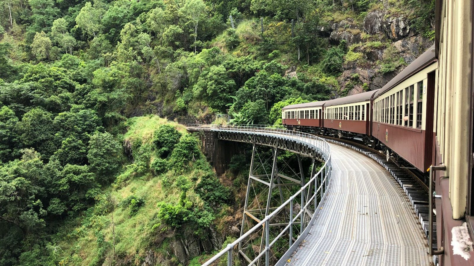 Rondreis Australië, Cairns, Excursie Trein & Skyrail Kuranda, Uitzicht vanuit de trein in groene omgeving