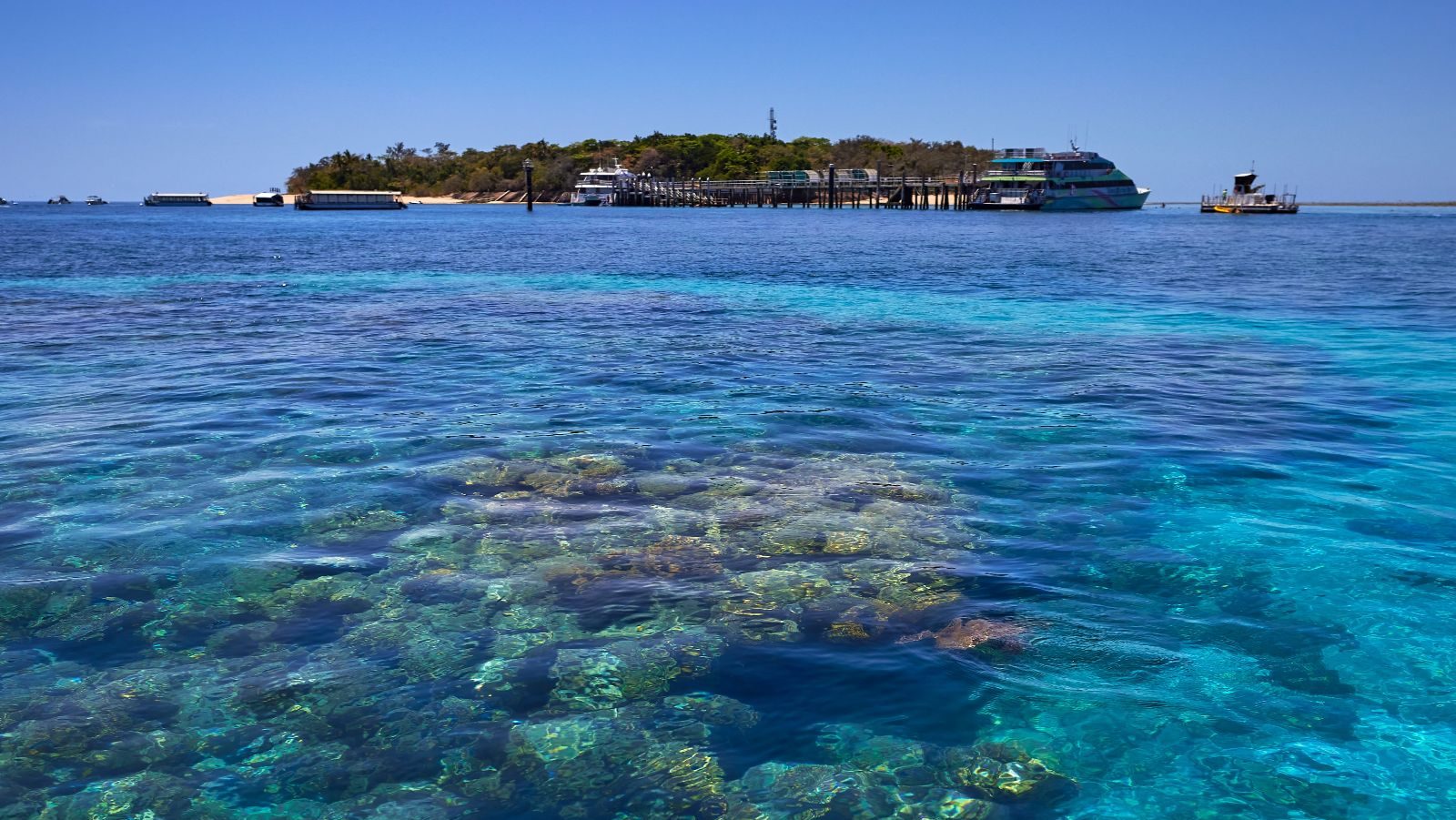 Rondreis Australië, Cairns, Excursie Zeiltocht Green Island & Great Barrier Reef, Rif onderwater met eiland op de achtergrond, Tourism Australia Asset Hub