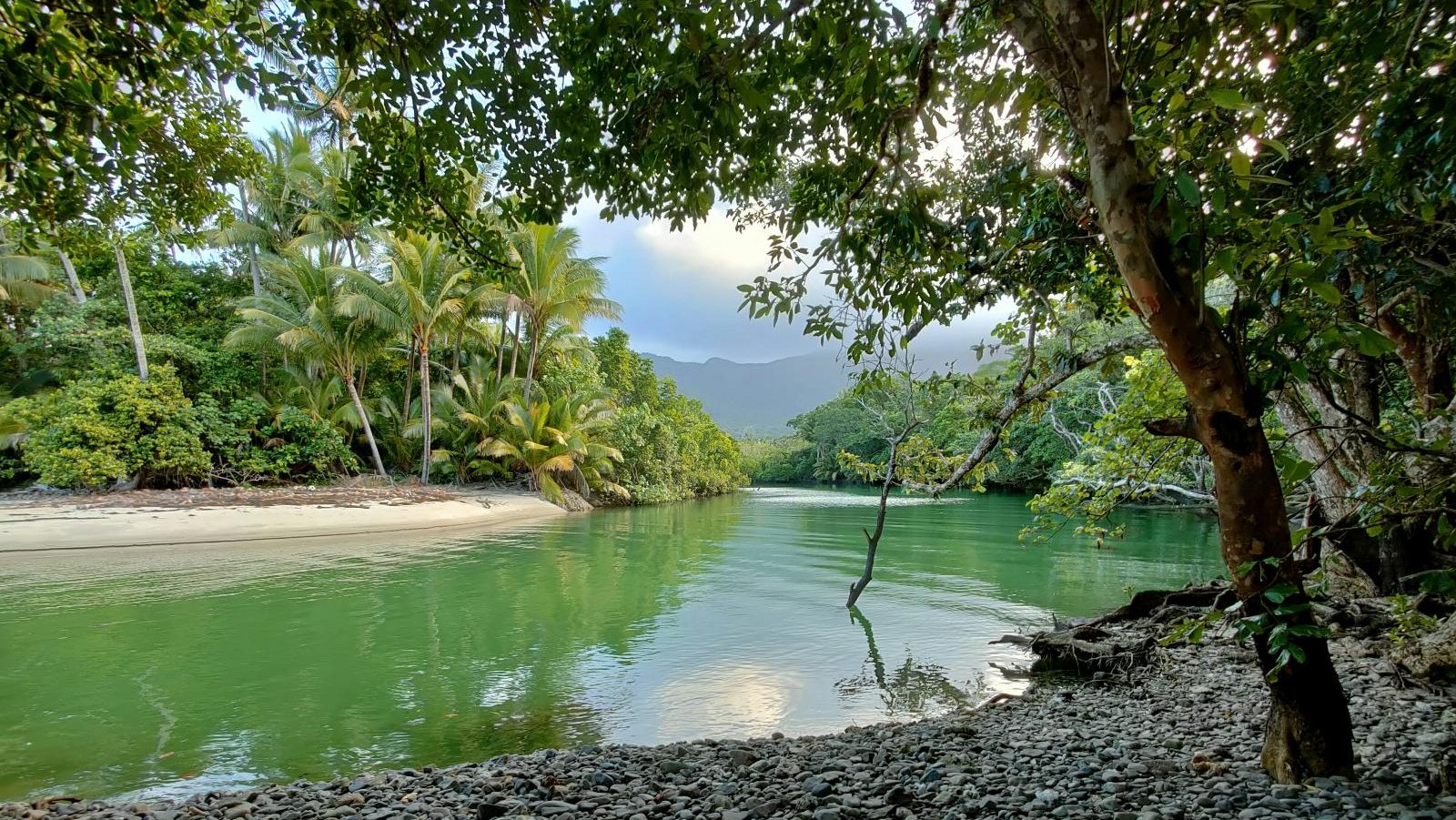 Rondreis Australië, Daintree en Cape Tribulation, rivier in regenwoud
