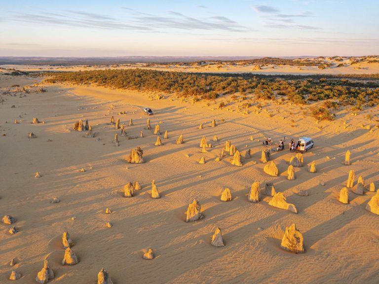Excursies | WRC Reizen