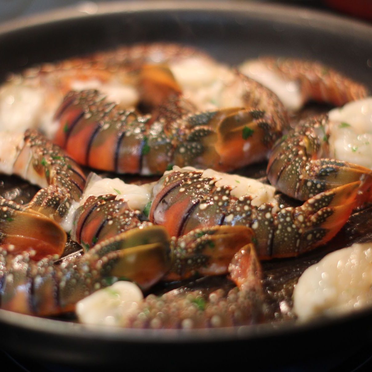 Rondreis-Australie-eten-Moreton-Bay-Bugs