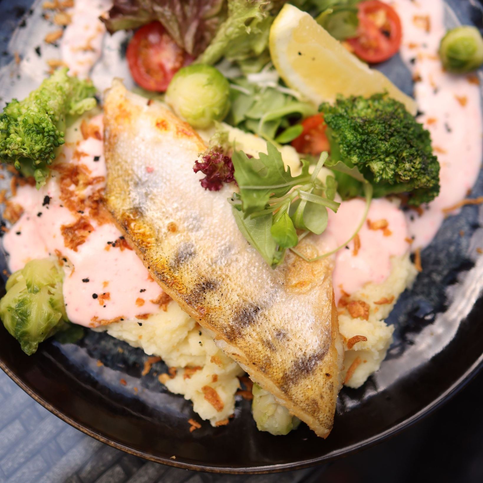 Rondreis-Australie-typisch-Australische-gerechten-Barramundi-witvis-op-bord-met-witte-saus
