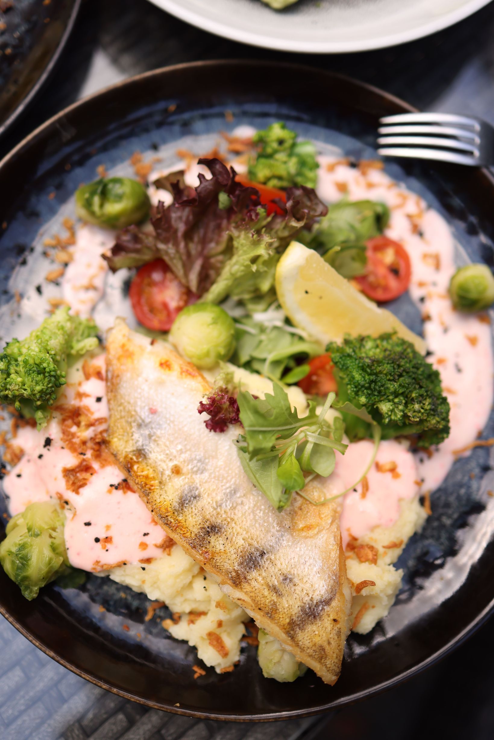 Rondreis Australië, typisch Australische gerechten, Barramundi, witvis op bord met witte saus