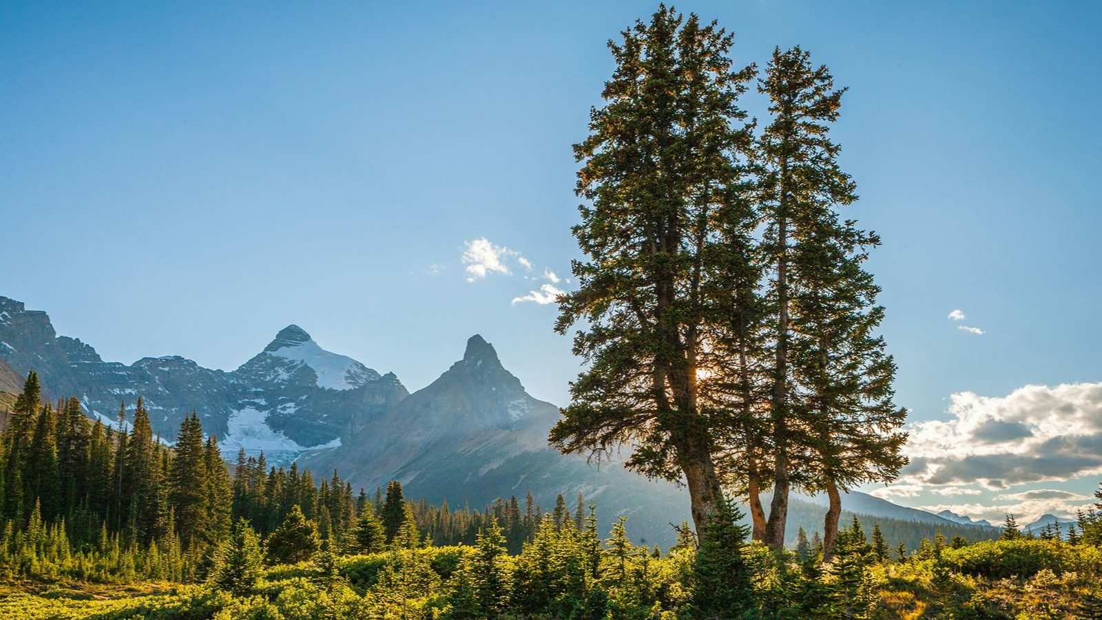 Rondreis Canada, Jasper National Park, Spirit Island, uitzicht landschap