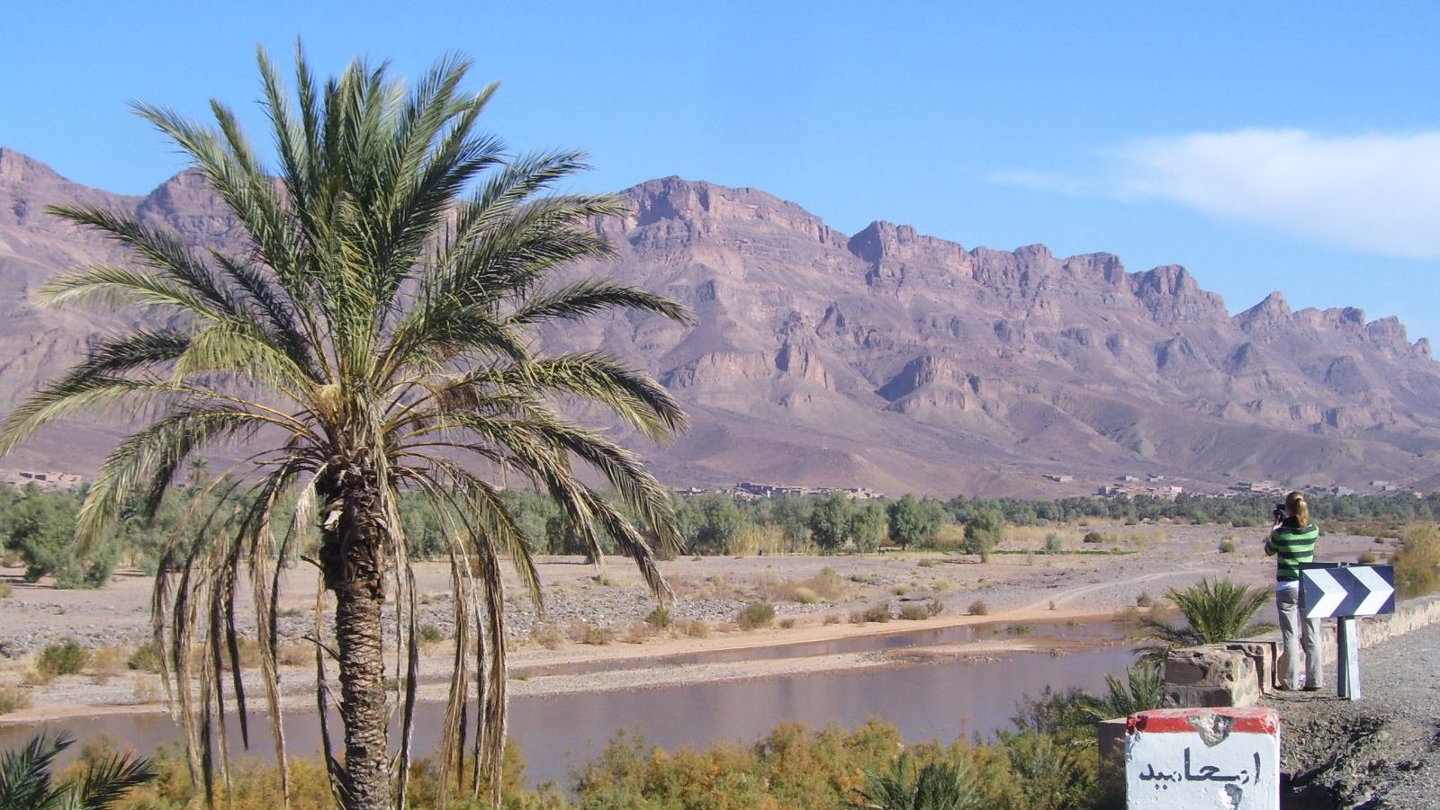 Rondreis Marokko, Agdz, gebergte met palmboom op de voorgrond en water