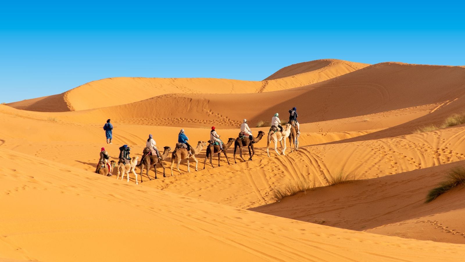 Rondreis-Marokko-Erg-Chebbi-groep-mensen-op-kamelen