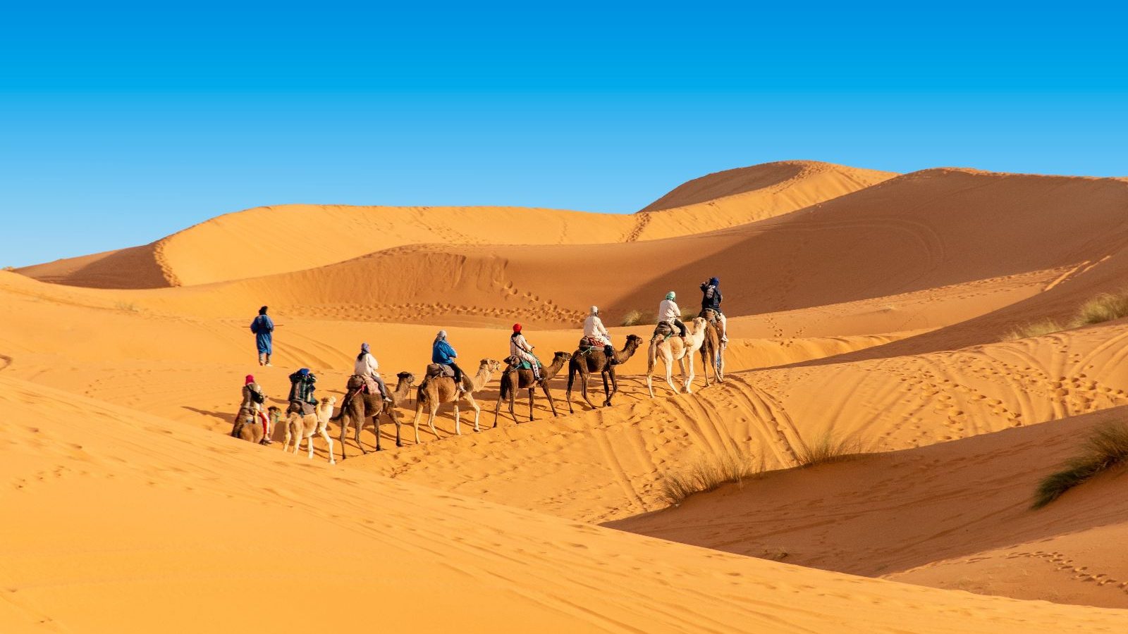 Rondreis Marokko, Erg Chebbi, groep mensen op kamelen