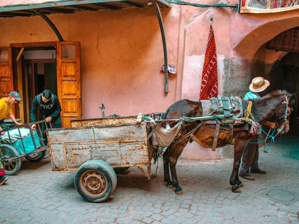 Rondreis Marokko, Fez, stadstour, man met ezel
