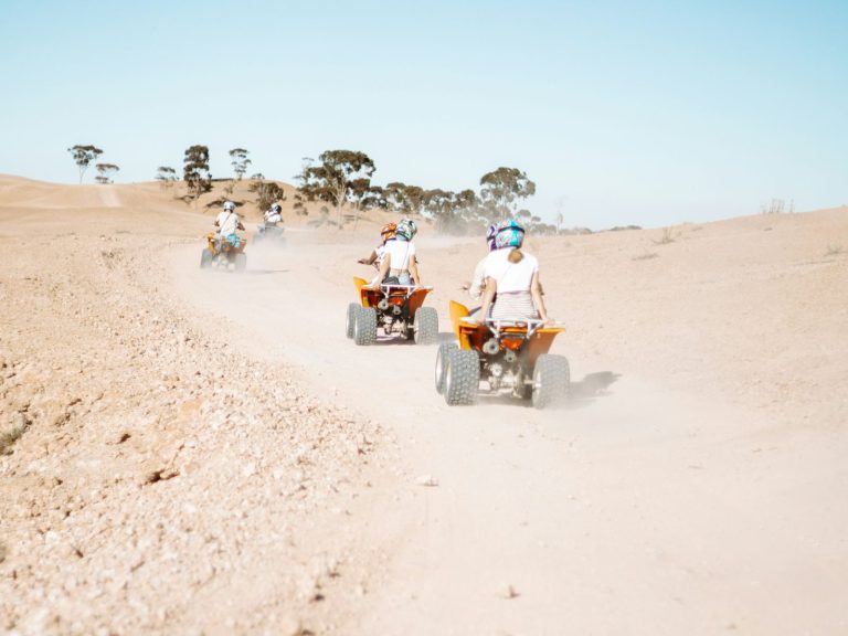 Excursies | WRC Reizen