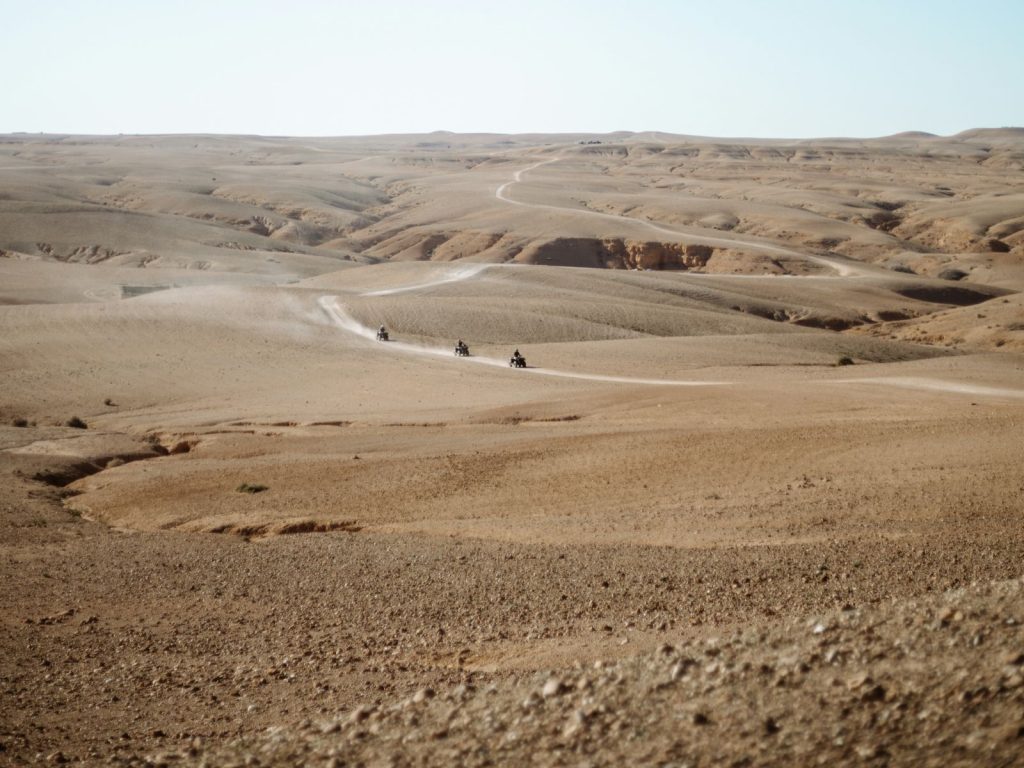 Excursies | WRC Reizen