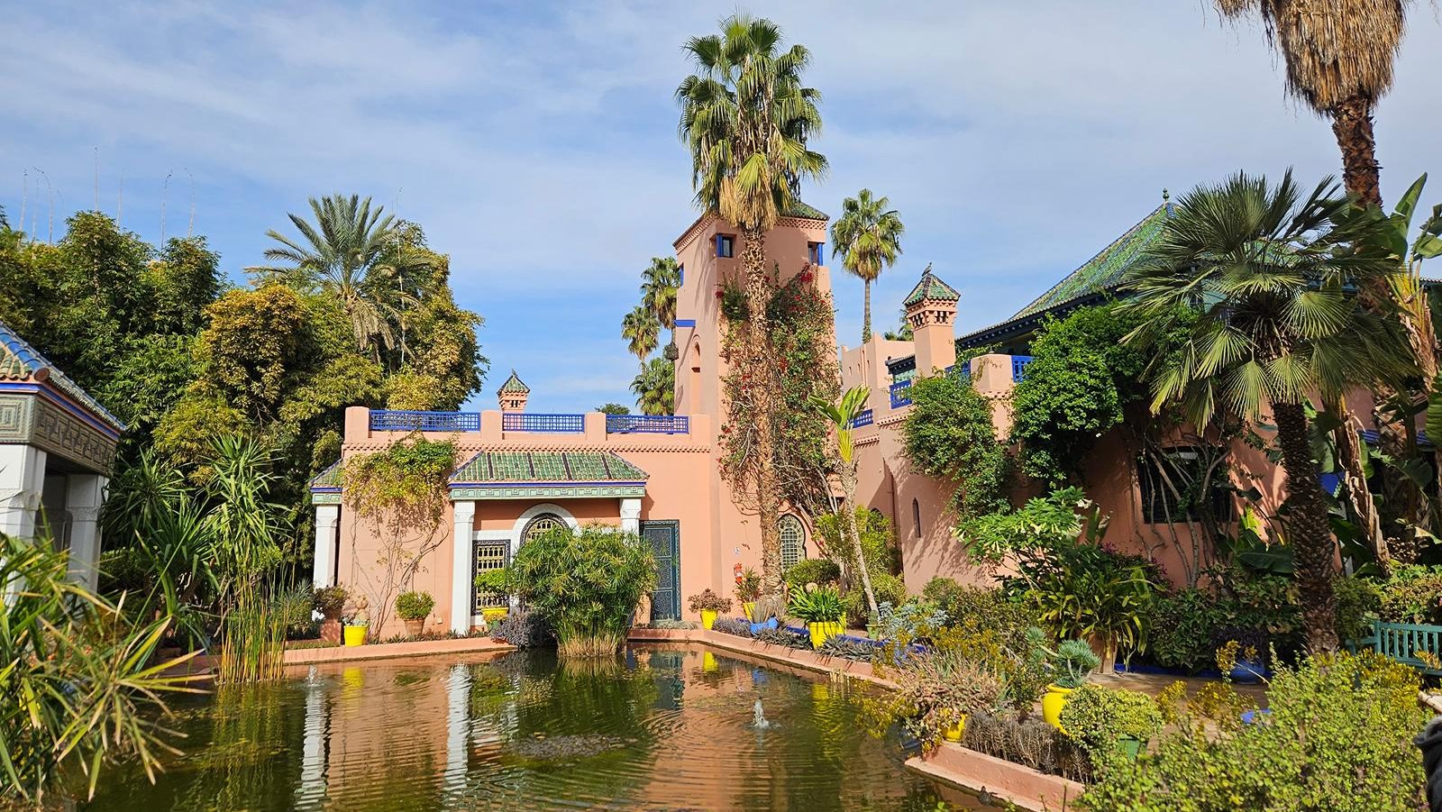 Rondreis Marokko - Marrakech - Majorelletuin