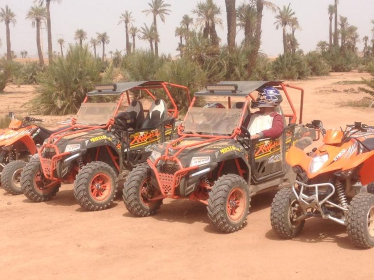 Excursies | WRC Reizen