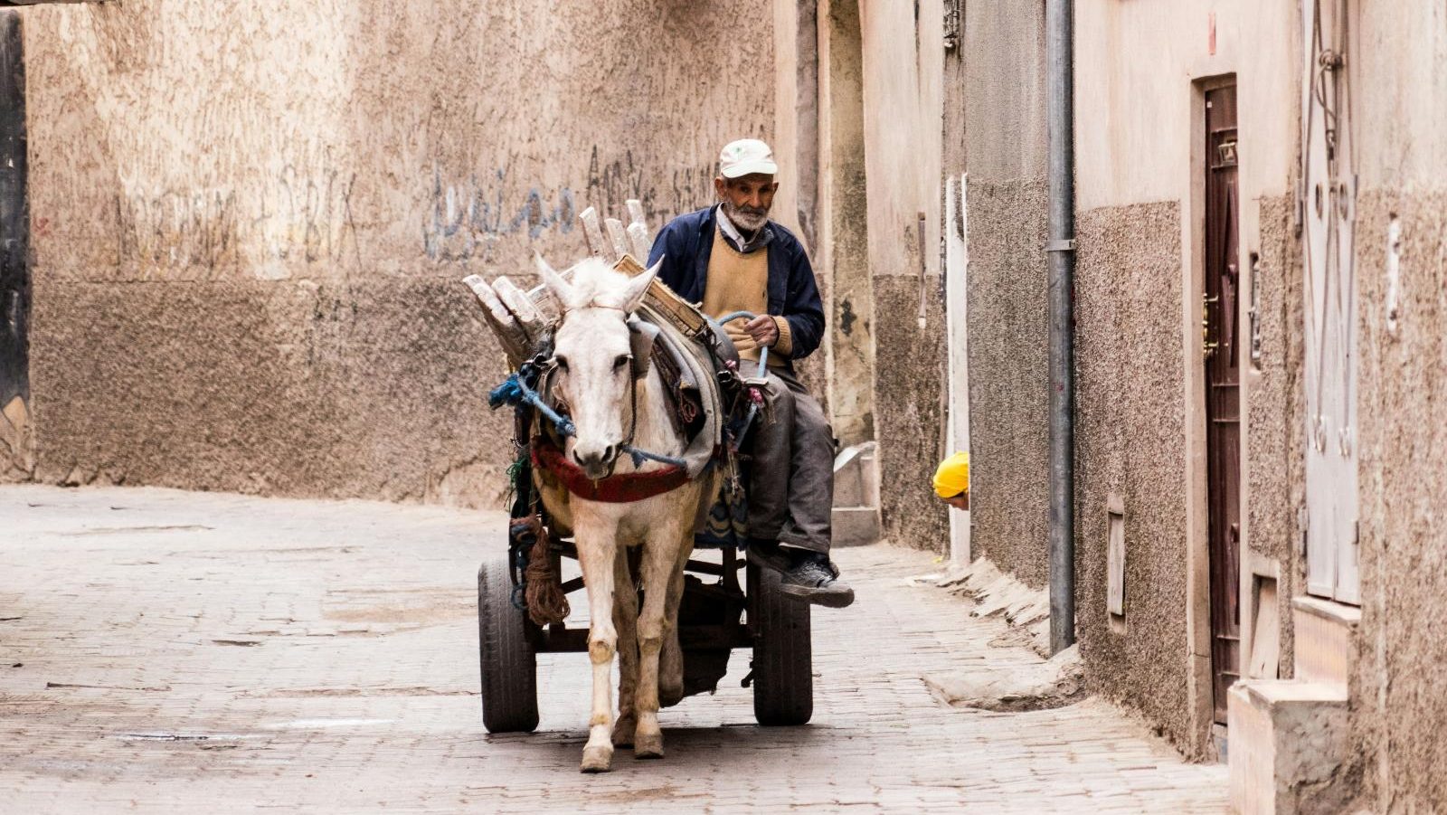 Rondreis Marokko, Marrakech, paard met wagen