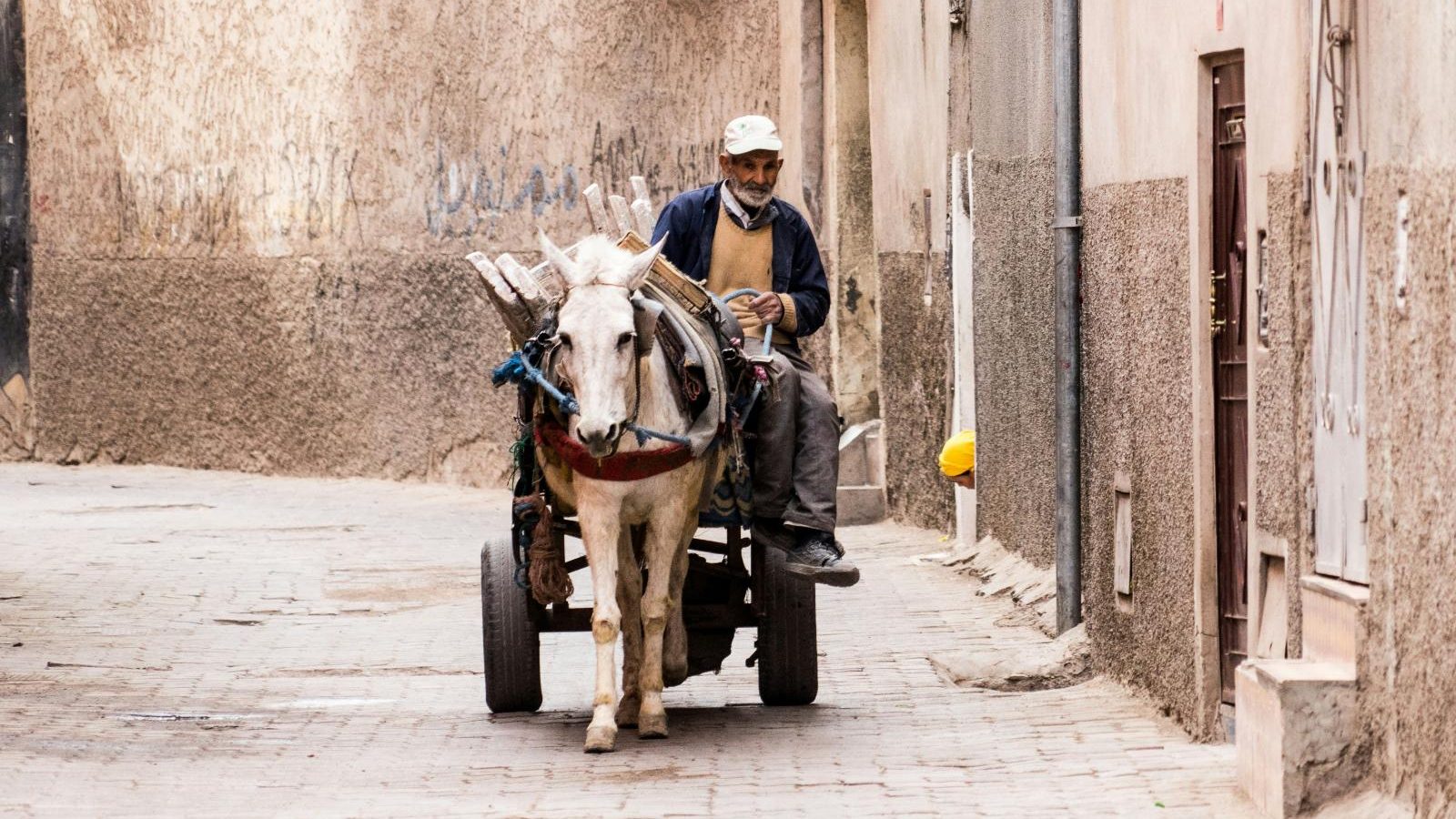 Rondreis Marokko, Marrakech, paard met wagen