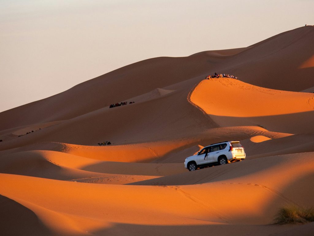 Excursies | WRC Reizen