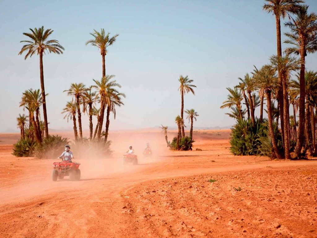 Excursies | WRC Reizen