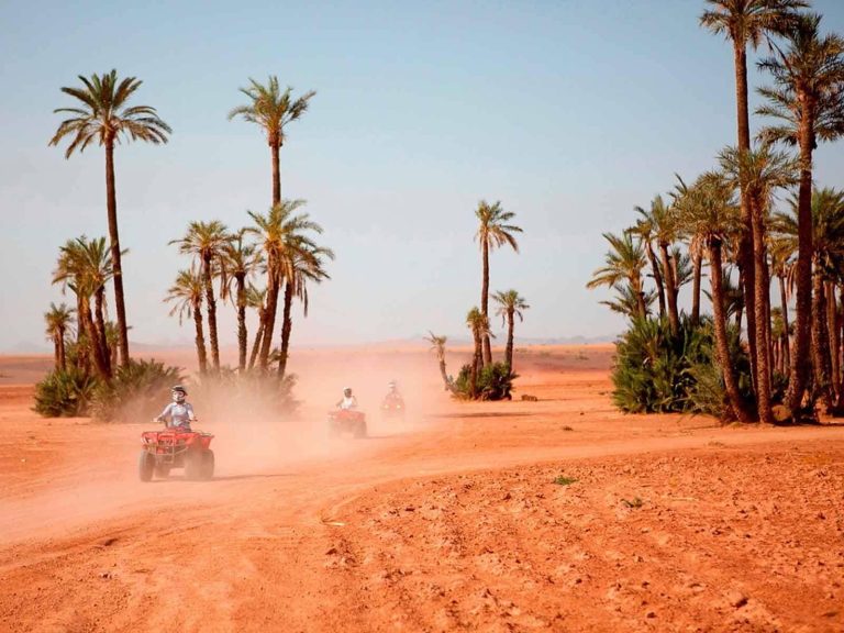 Excursies | WRC Reizen