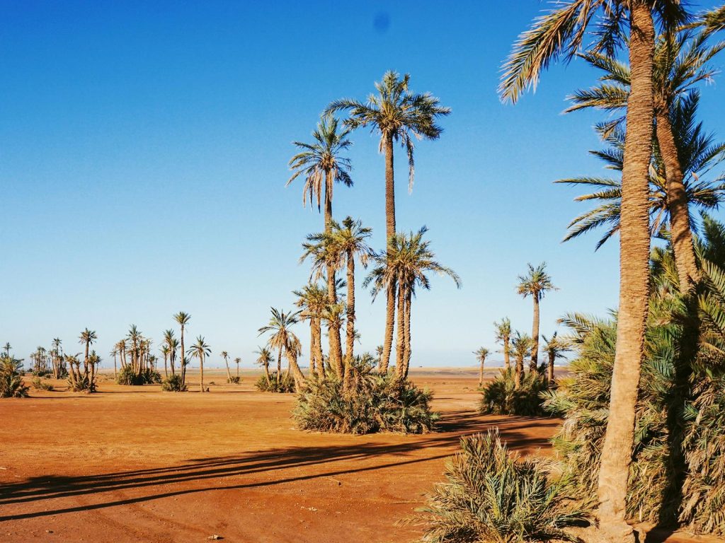 Excursies | WRC Reizen