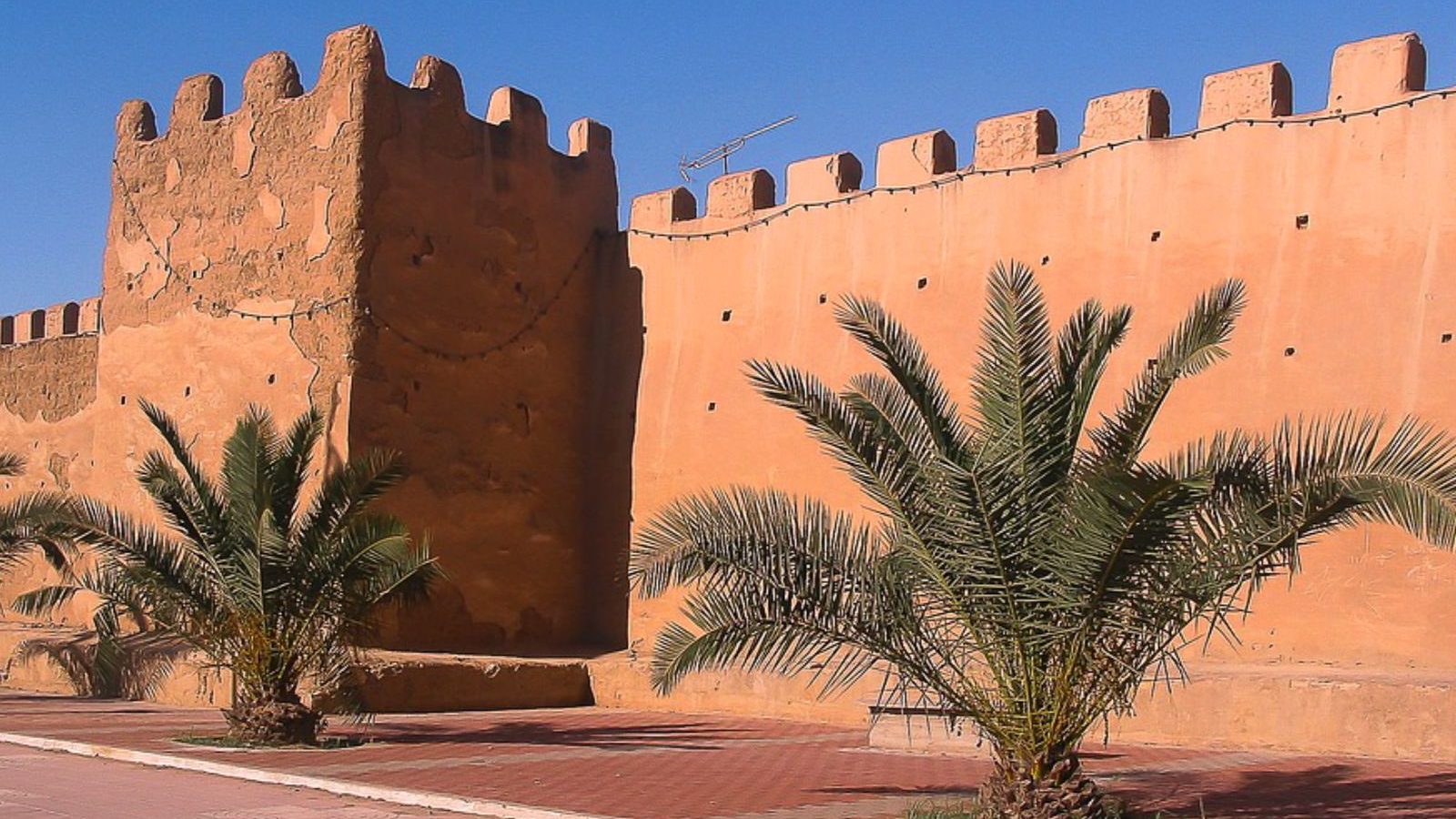 Rondreis Marokko, Taroudant, muur met palmbomen ervoor